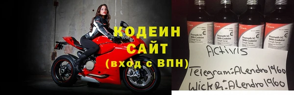 спиды Корсаков