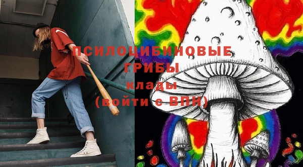 круглые Коряжма