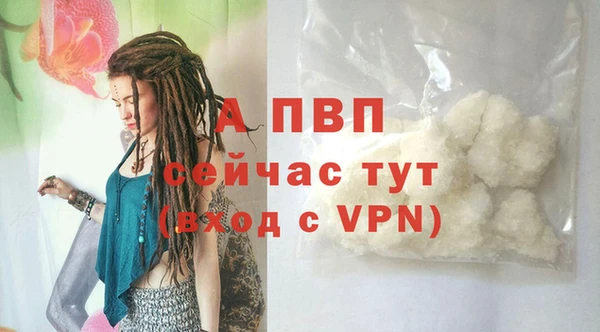 спиды Корсаков