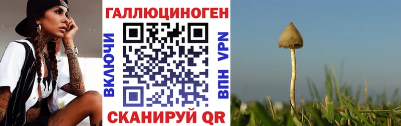 Псилоцибиновые грибы Psilocybe  KRAKEN tor  Щёлкино 